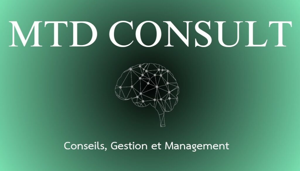 Logo M.T.D CONSULT